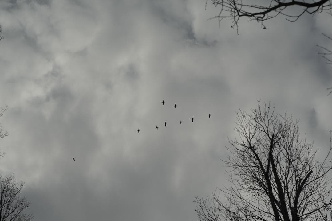 Helios44-2 58mm f2 M42 Zeissの銘玉Biotarコピー - メルカリ