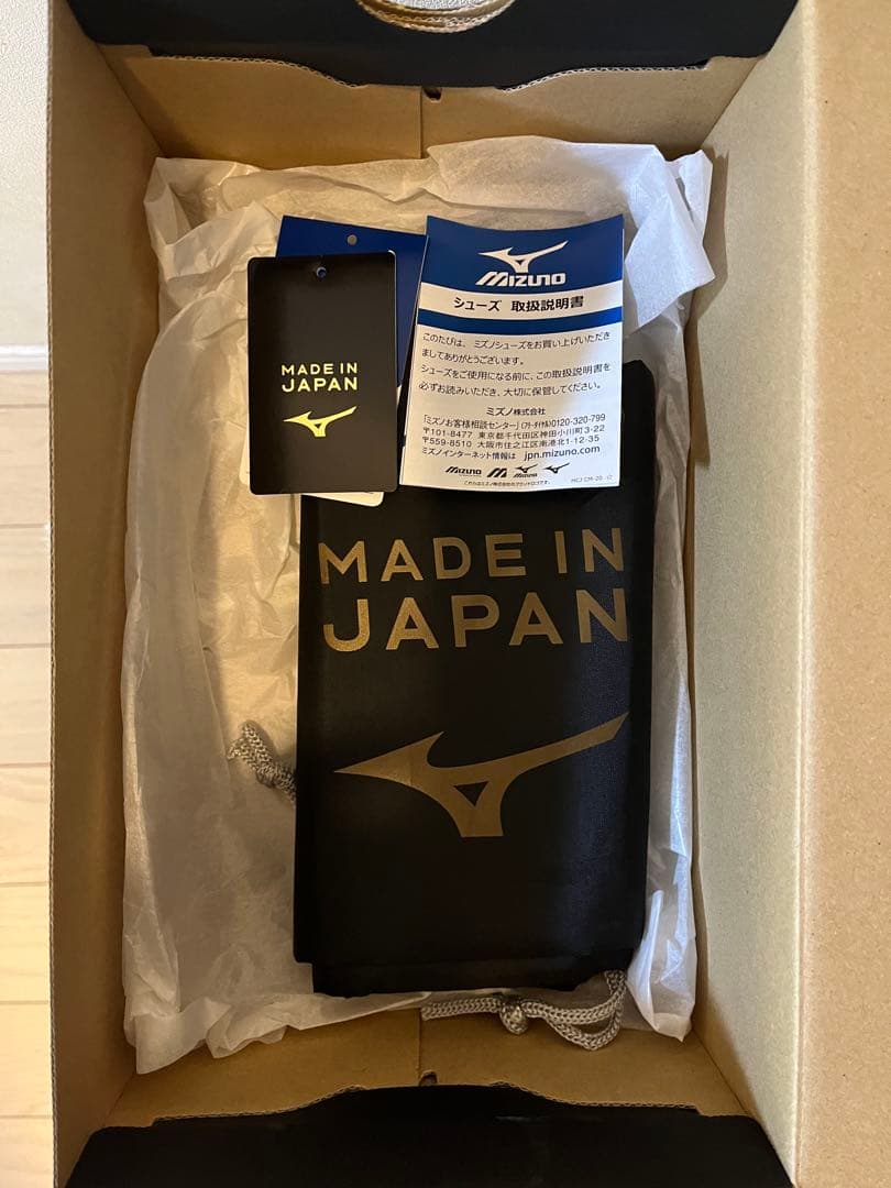 Mizuno Morelia Ⅱ JAPAN 25.0cm