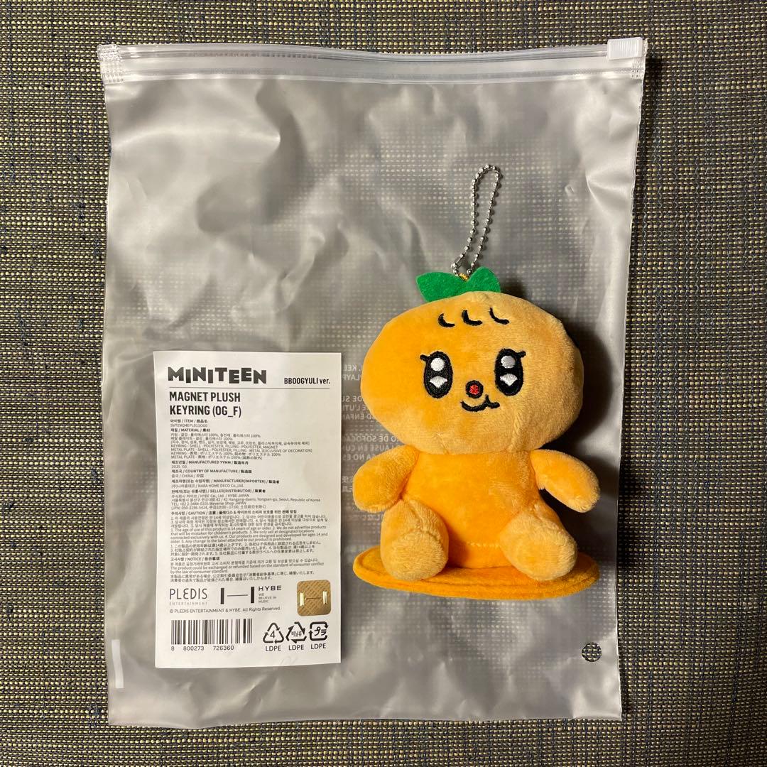 SEVENTEEN セブチMINITEEN ミニティーン スングァン プギュリ - メルカリ