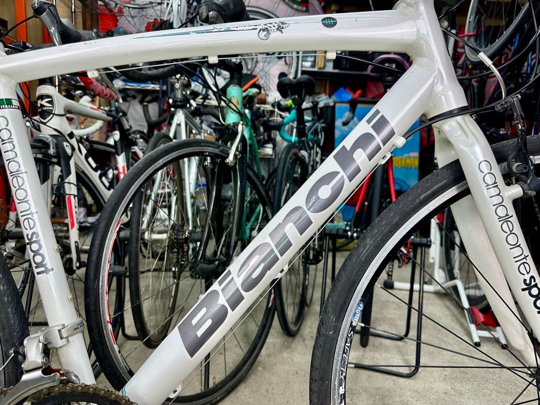 CAMALEONTE SPORT基本分解発送送料無料！完成車配送ご相談ください！