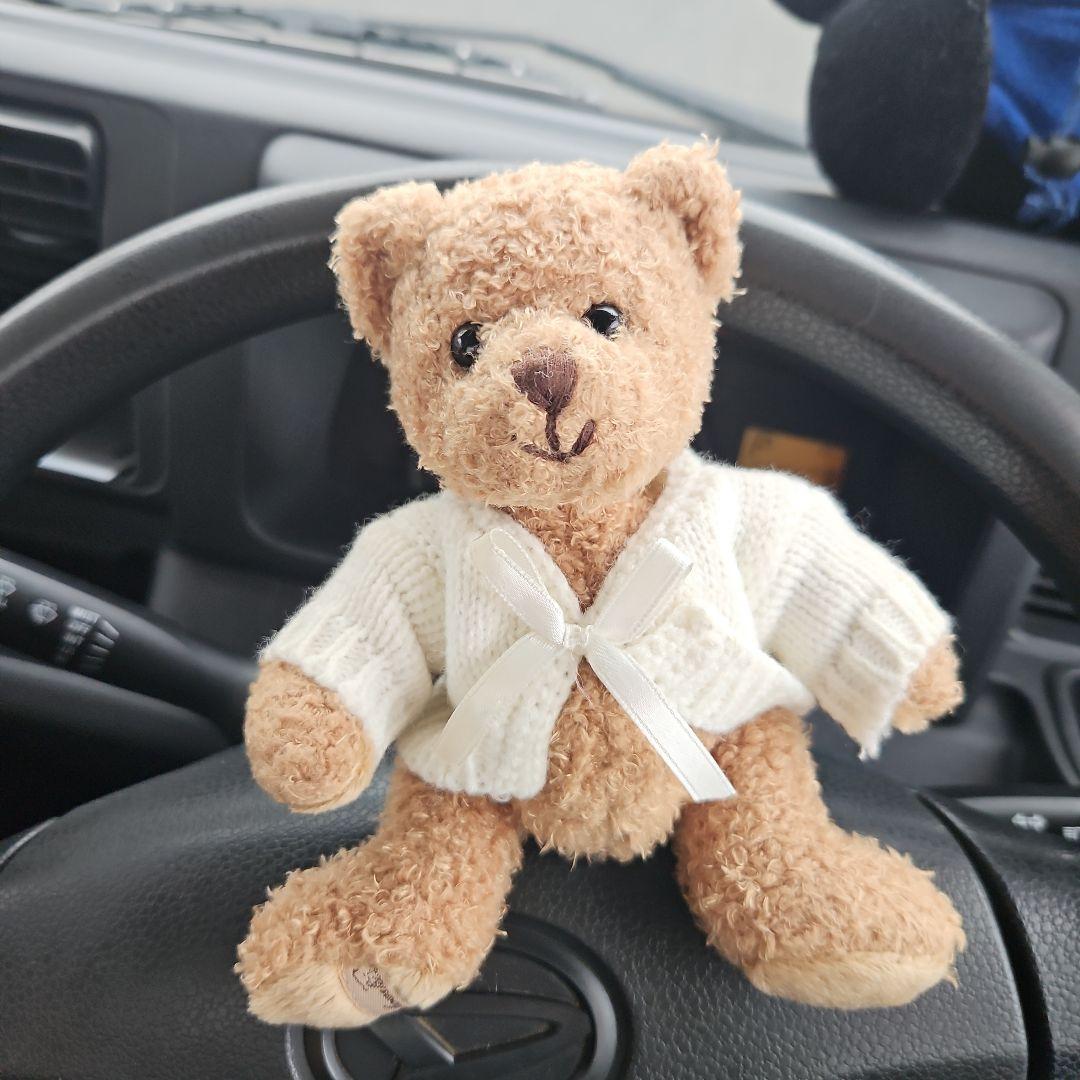 HARVARDロゴ付きクマのぬいぐるみ2体ブコウスキー1体黒クマ1体セット