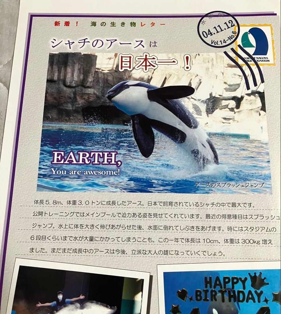 レア　名古屋港水族館限定　クリアファイル　ポストカード