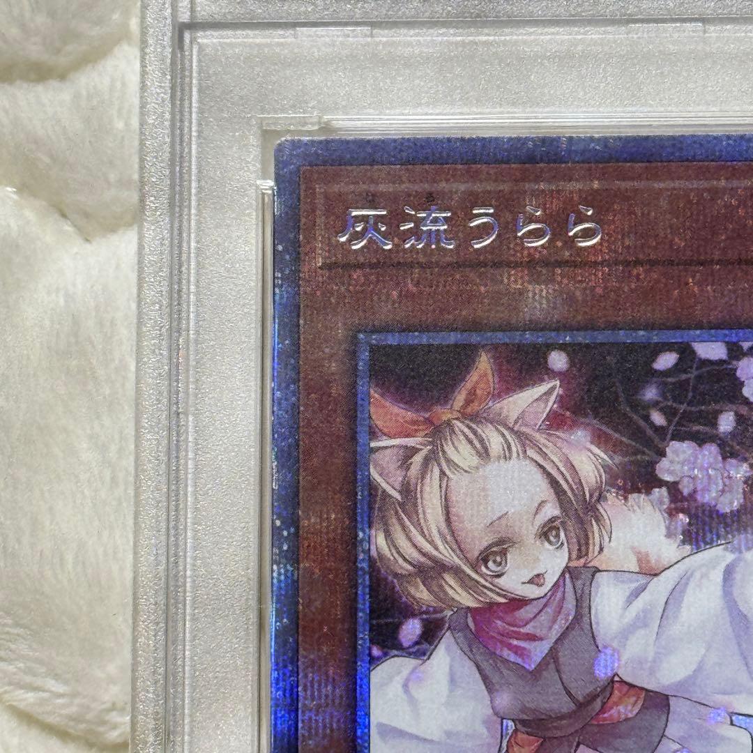 灰流うらら　プリシク　PSA10