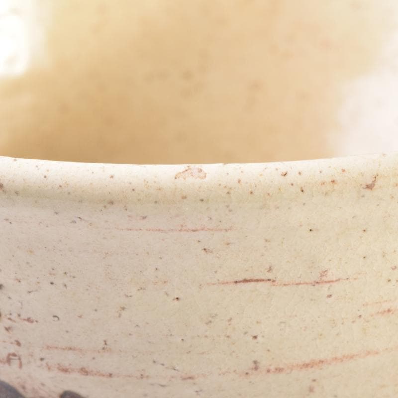 茶道具 志野焼 絵志野 西山窯 数茶碗 五客 合わせ箱 V 7016A - HOMEELEC.FR