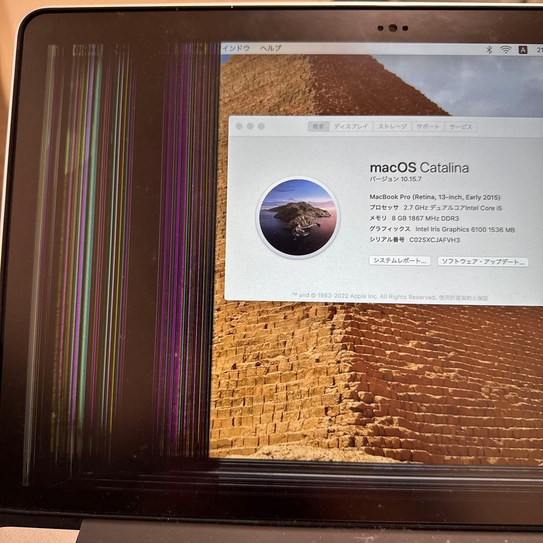 ジャンク】MacBook Pro 2015 ディスプレイ不具合(付属品完備) - メルカリ