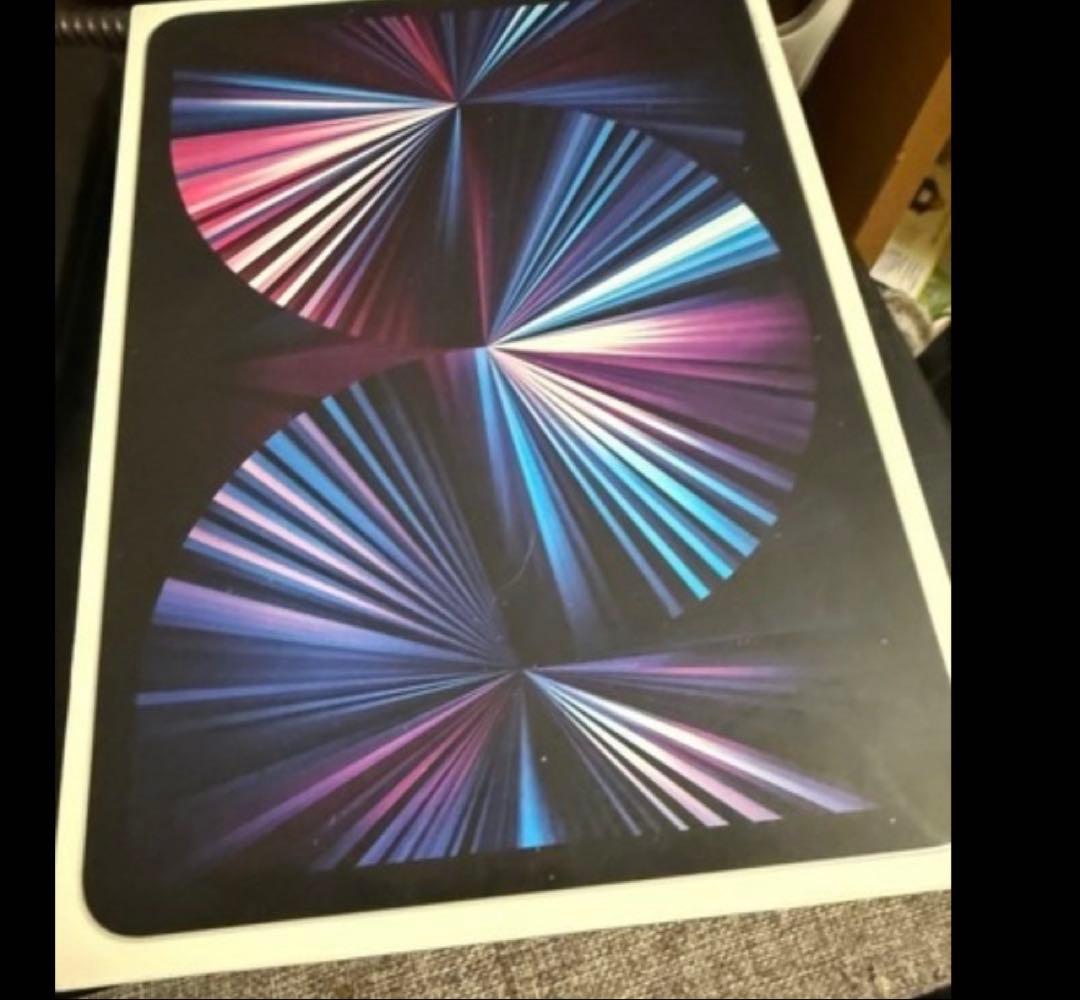 う*ん様 iPad Pro 11インチ第3世代　512GB Apple iPad Pro 11インチ 第3世代 Wi-Fi+Cellular 512GB 2021年春
