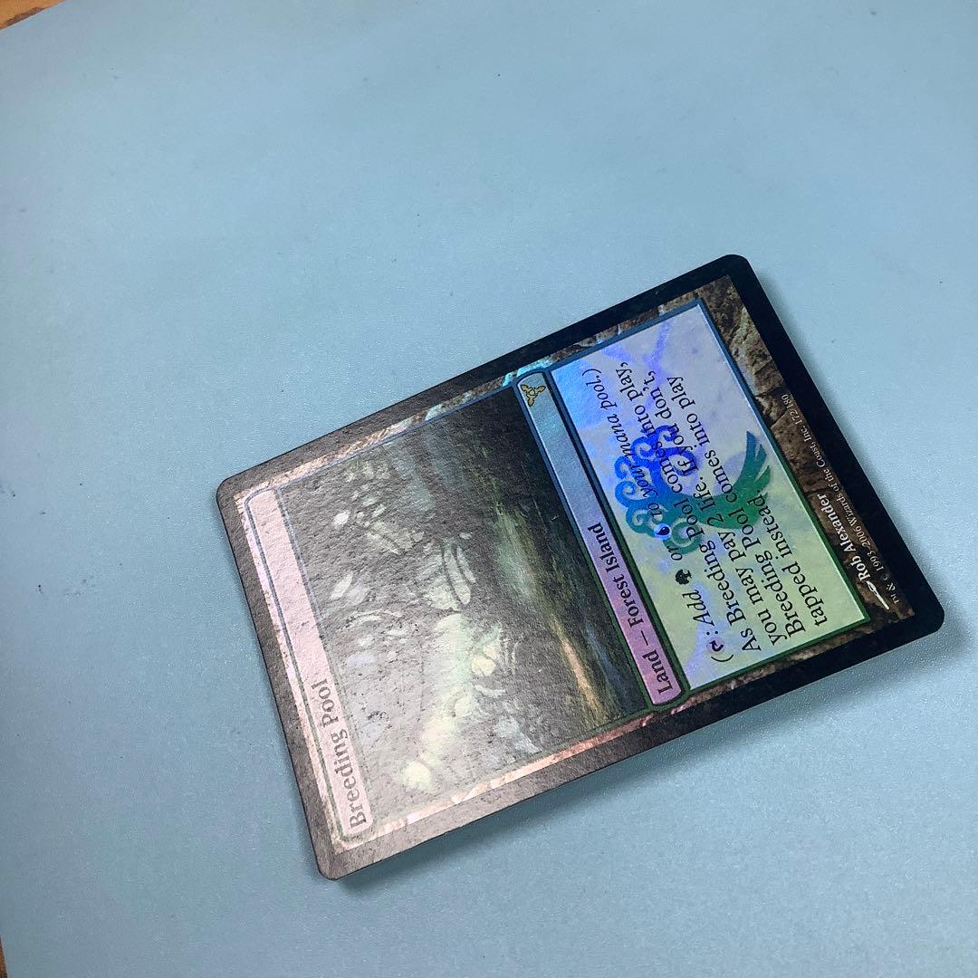 繁殖池/Breeding Pool  DIS英語foil