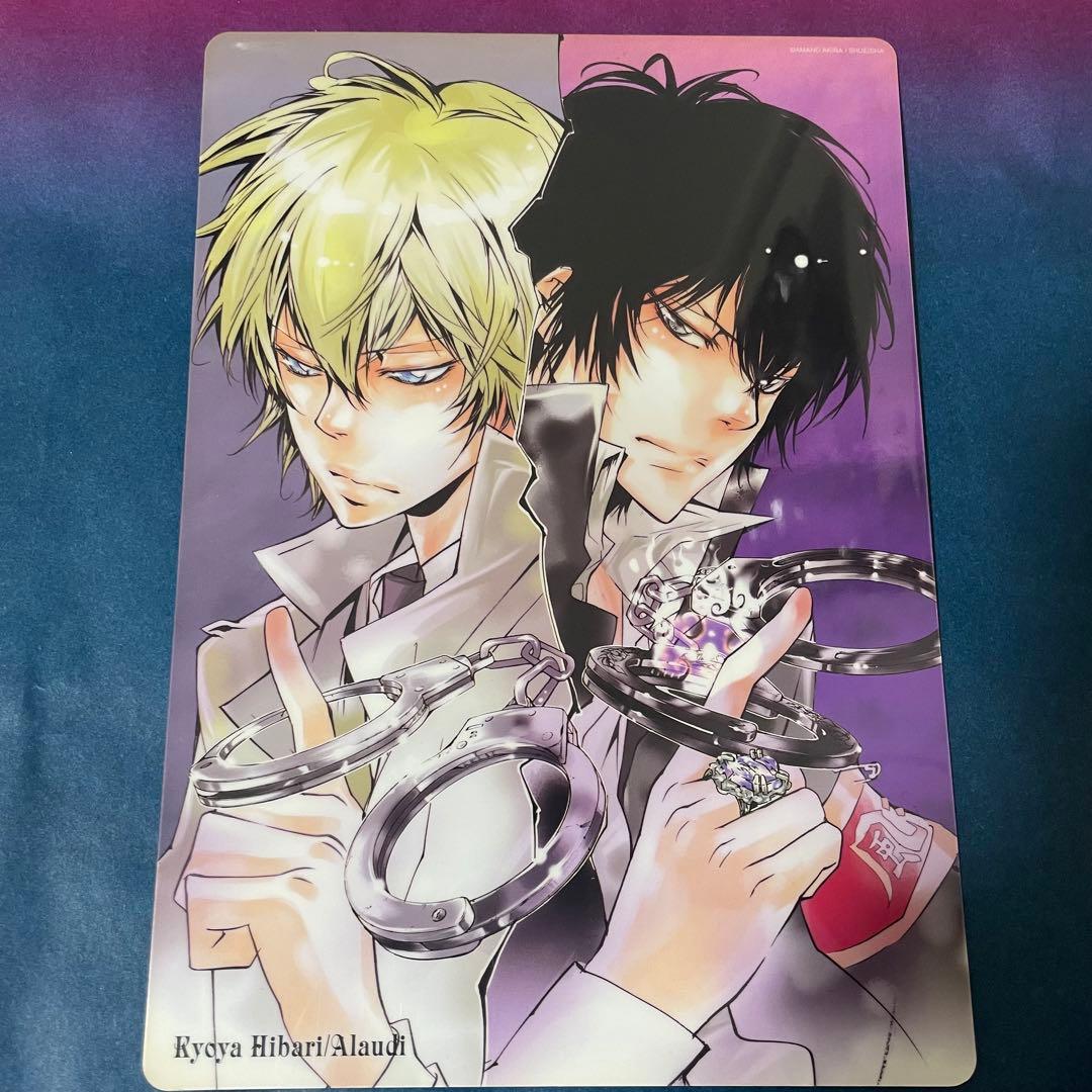 REBORN リボーン 雲雀恭弥 笹川了平 アラウディ 下敷きカード - メルカリ