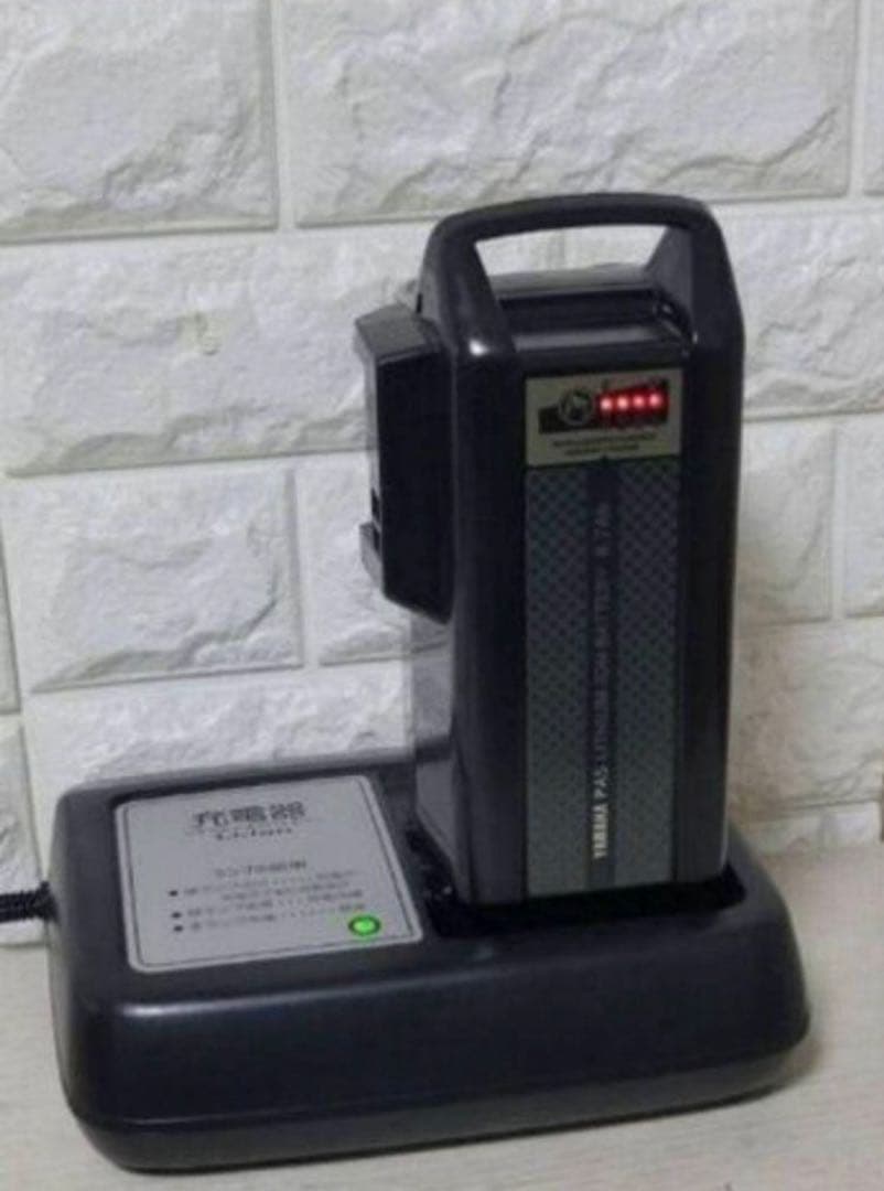 ✨美品✨室内保管✨純正チャイルドシート使用✨ブリヂストンビッケ子供