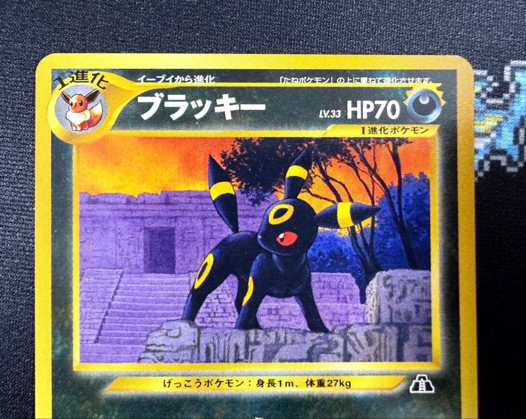 ☆ポケモンカードneo 旧裏 ブラッキー LV.33 プレミアムファイル