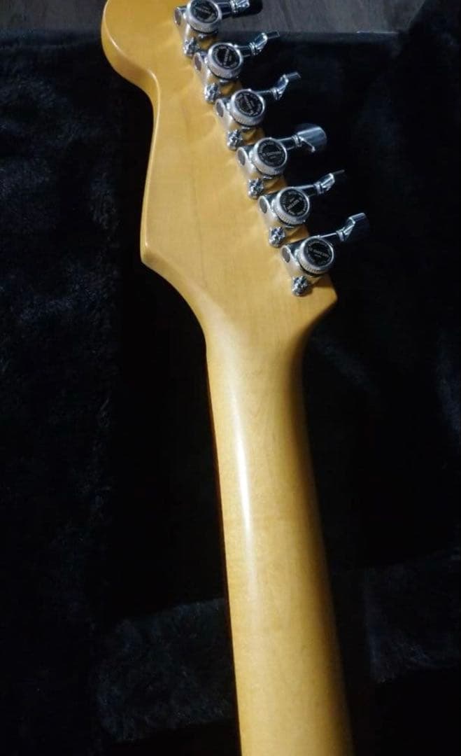 FERNANDES 　STC-50　Allan Holdwarth