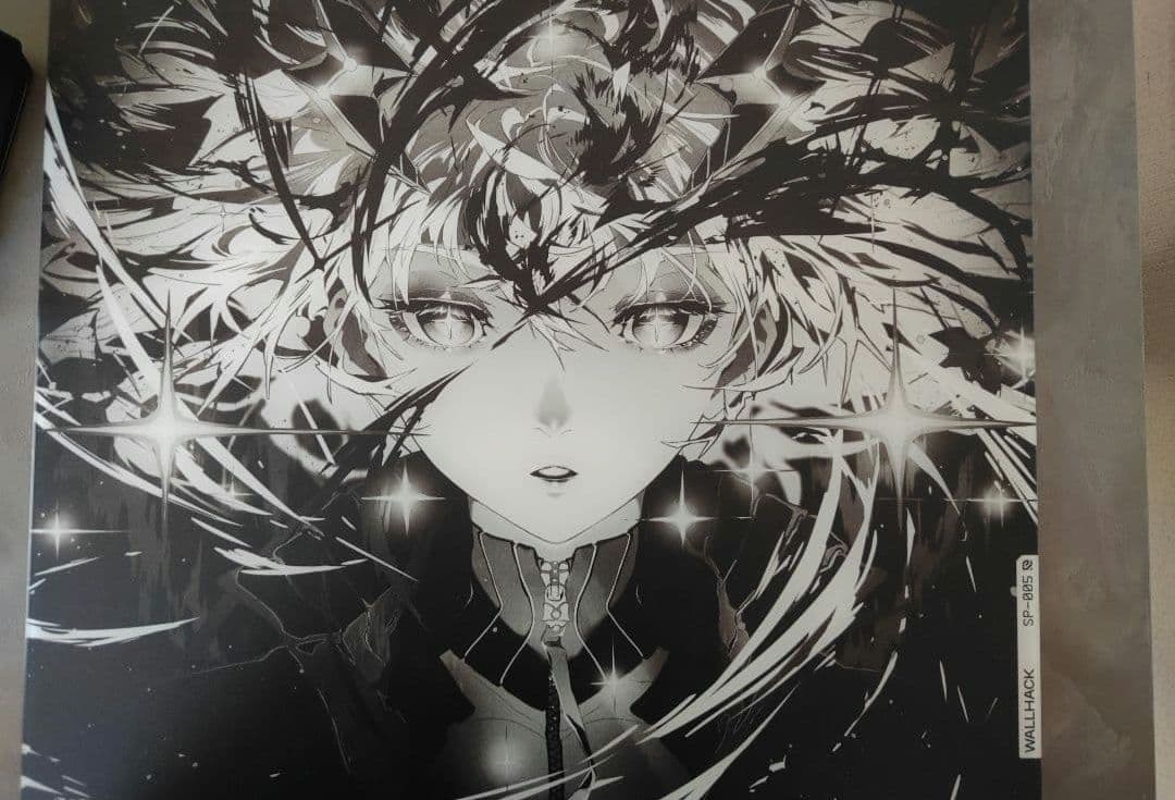 WALLHACK SP-005 限定版 アームカバー付き - メルカリ