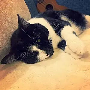 白*り様 コロナ エアコン 基板 COH－B5615R2 - メルカリ