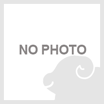 梅沢武生劇団・梅沢富美男・前川清 特別公演 | 演劇・ミュージカル等の